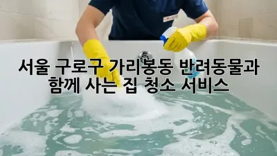 서울 구로구 가리봉동 반려동물과 함께 사는 집 청소 서비스