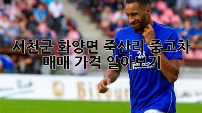 서천군 화양면 죽산리 중고차 매매 가격 알아보기