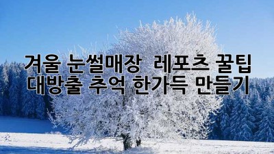 겨울❄️ 눈썰매장 & 레포츠🏂: 꿀팁 대방출! 추억 한가득 만들기✨